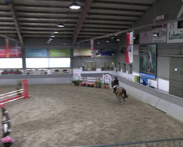 Reitturnier Luhmühlen 2023