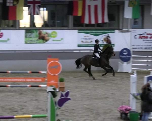 Reitturnier Luhmühlen 2023