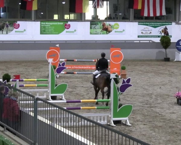 Reitturnier Luhmühlen 2023