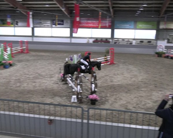 Reitturnier Luhmühlen 2023