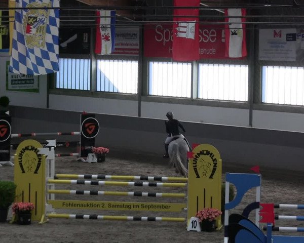 Reitturnier Luhmühlen 2023