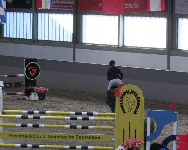 Reitturnier Luhmühlen 2023