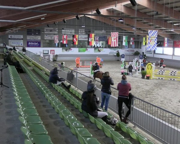 Reitturnier Luhmühlen 2023