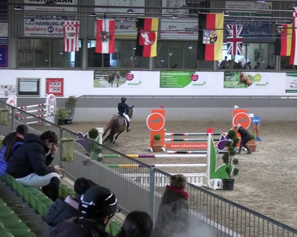 Reitturnier Luhmühlen 2023