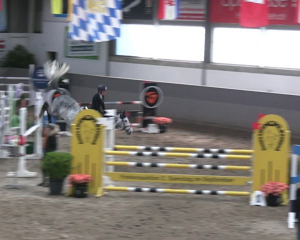 Reitturnier Luhmühlen 2023