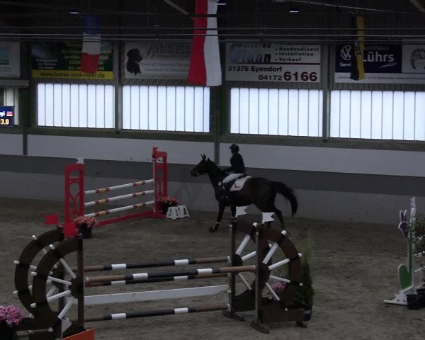 Reitturnier Luhmühlen 2023