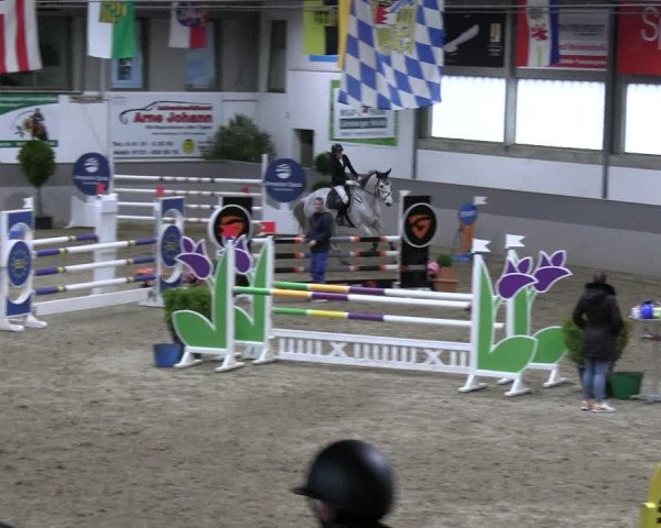 Reitturnier Luhmühlen 2023