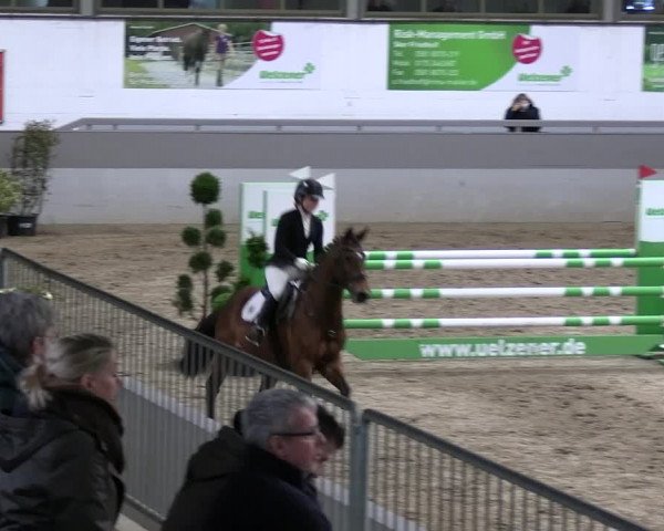 Reitturnier Luhmühlen 2023