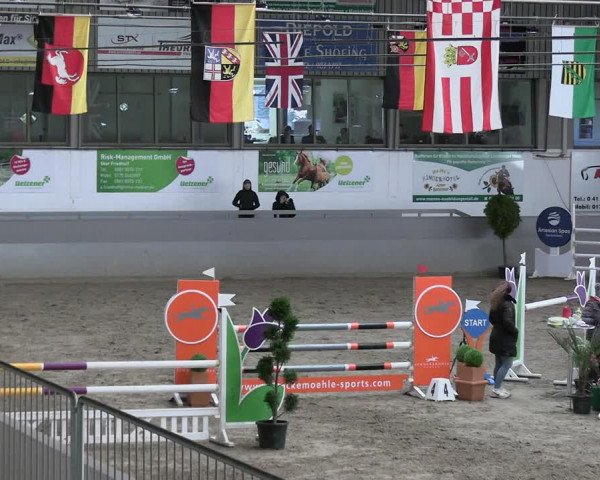 Reitturnier Luhmühlen 2023