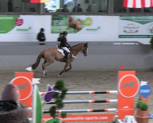 Reitturnier Luhmühlen 2023