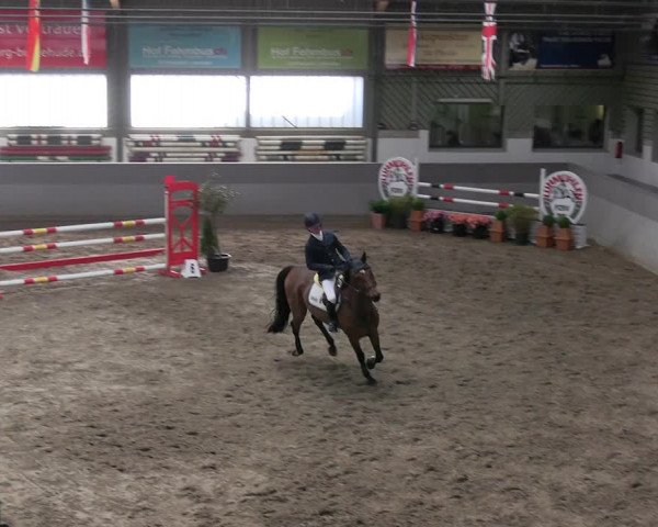 Reitturnier Luhmühlen 2023