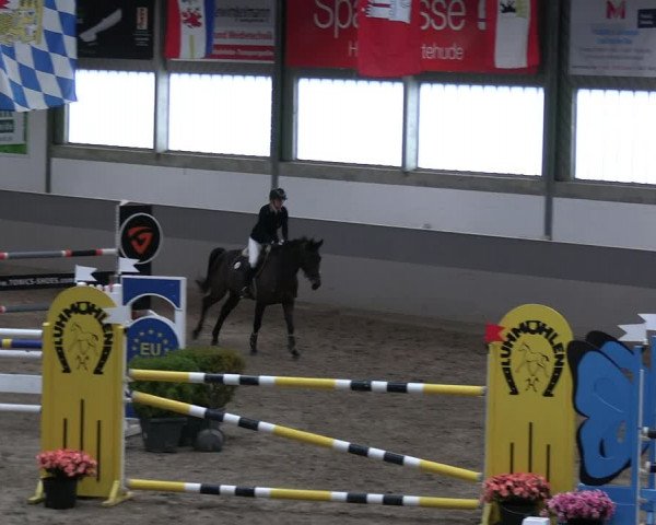 Reitturnier Luhmühlen 2023