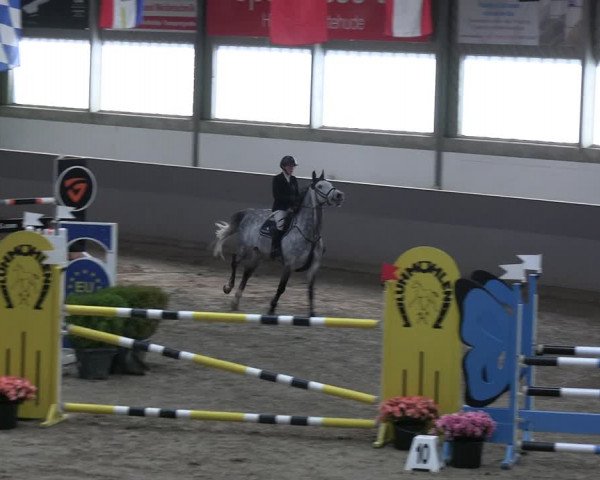 Reitturnier Luhmühlen 2023