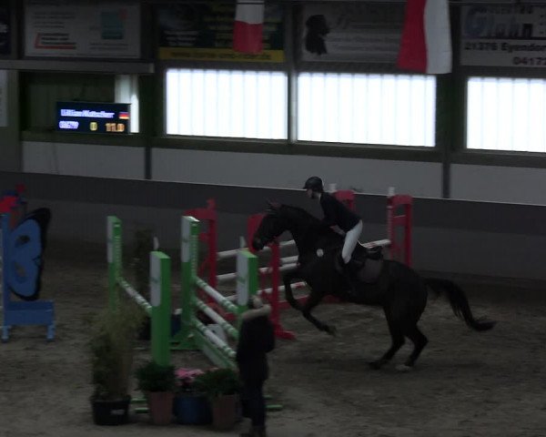Reitturnier Luhmühlen 2023