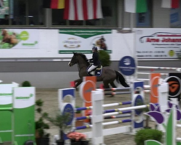 Reitturnier Luhmühlen 2023