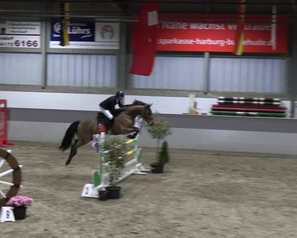 Reitturnier Luhmühlen 2023
