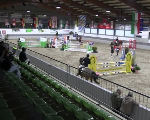 Reitturnier Luhmühlen 2023