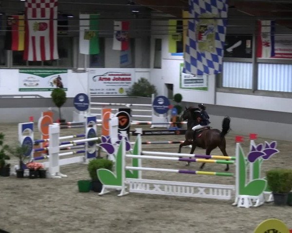 Reitturnier Luhmühlen 2023