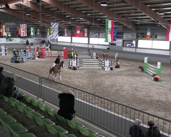 Reitturnier Luhmühlen 2023