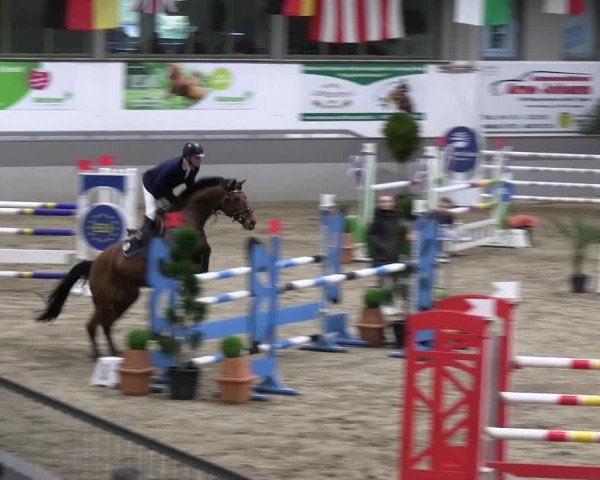 Reitturnier Luhmühlen 2023