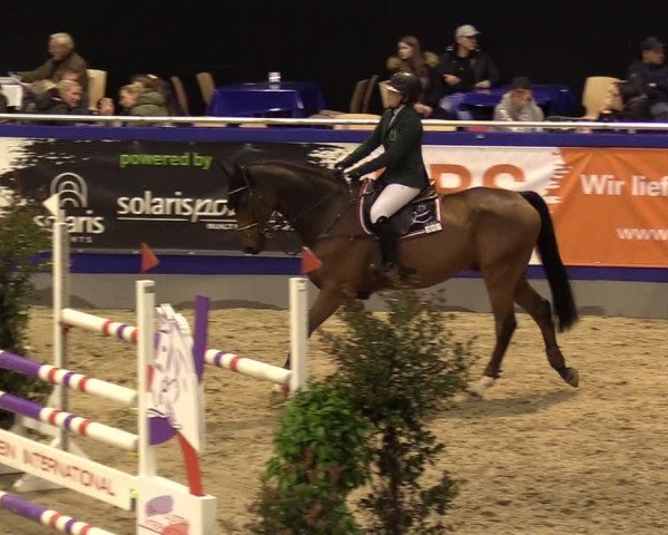 FEI Reitturnier Neumünster (GER) 2021