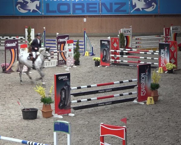 Reitturnier Osterholz-Scharmbeck 2023