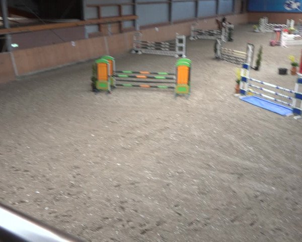 Reitturnier Osterholz-Scharmbeck 2023