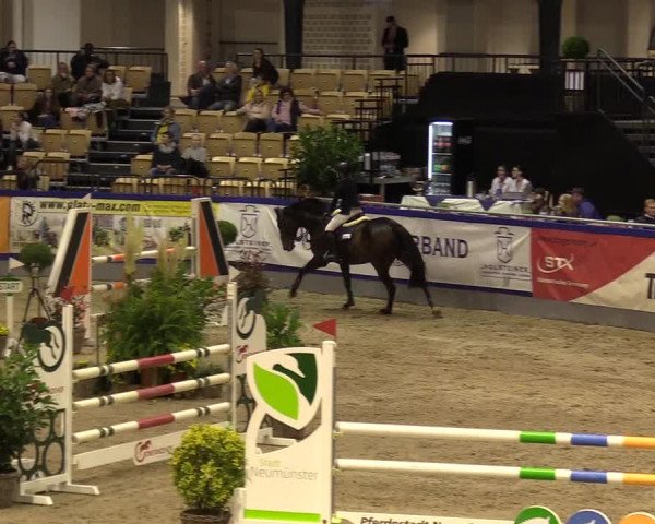 FEI Reitturnier Neumünster (GER) 2021
