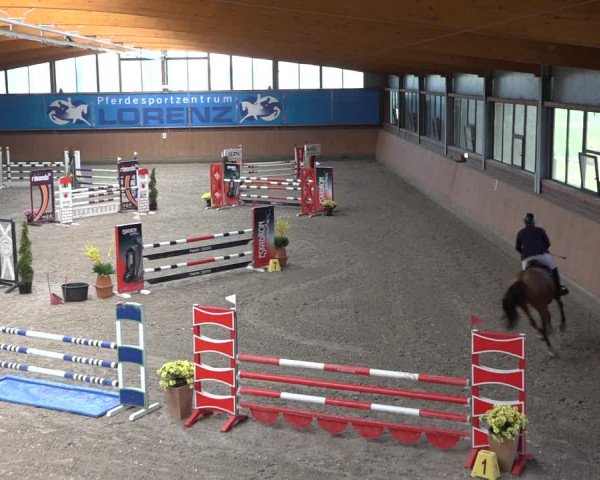 Reitturnier Osterholz-Scharmbeck 2023