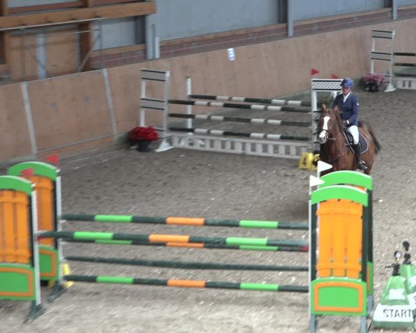Reitturnier Osterholz-Scharmbeck 2023