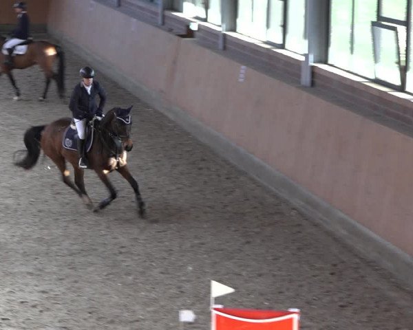 Reitturnier Osterholz-Scharmbeck 2023
