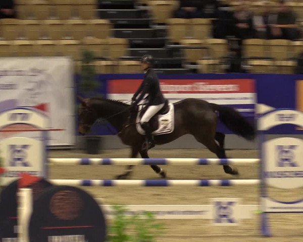FEI Reitturnier Neumünster (GER) 2021