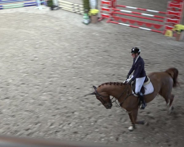 Reitturnier Osterholz-Scharmbeck 2023