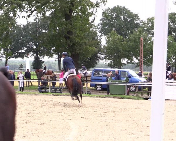 Reitturnier Haltern am See 2021