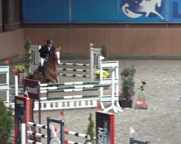 Reitturnier Osterholz-Scharmbeck 2023