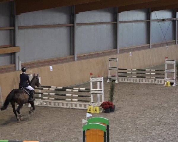 Reitturnier Osterholz-Scharmbeck 2023