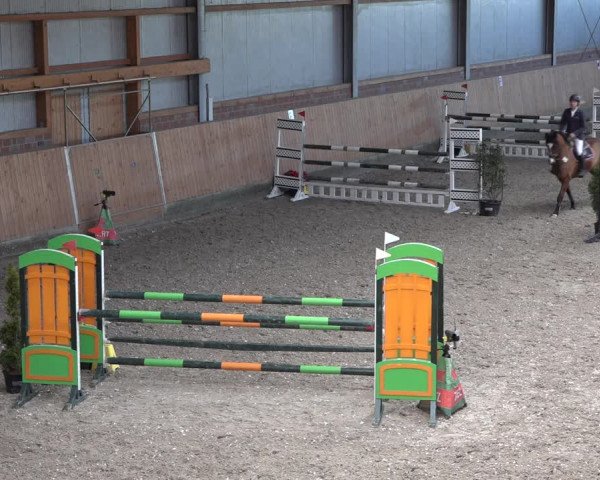 Reitturnier Osterholz-Scharmbeck 2023