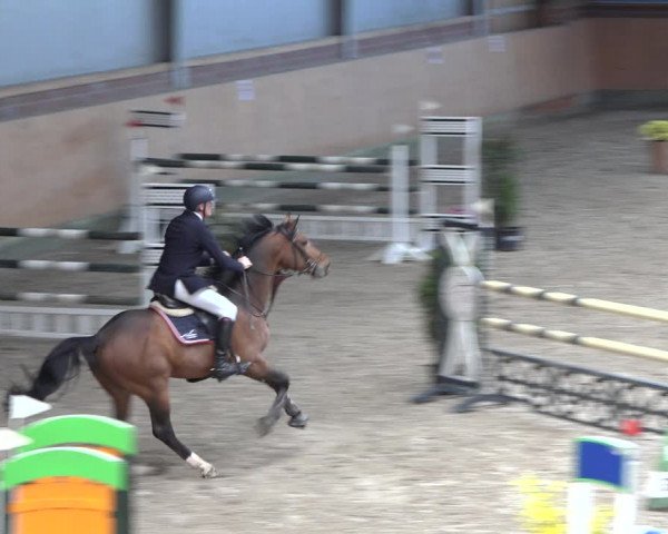 Reitturnier Osterholz-Scharmbeck 2023