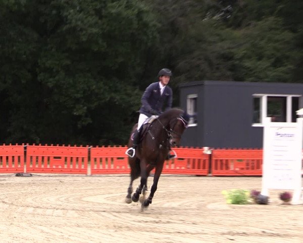 Reitturnier Haltern am See 2021