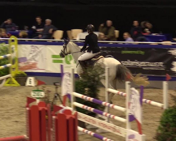 FEI Reitturnier Neumünster (GER) 2021