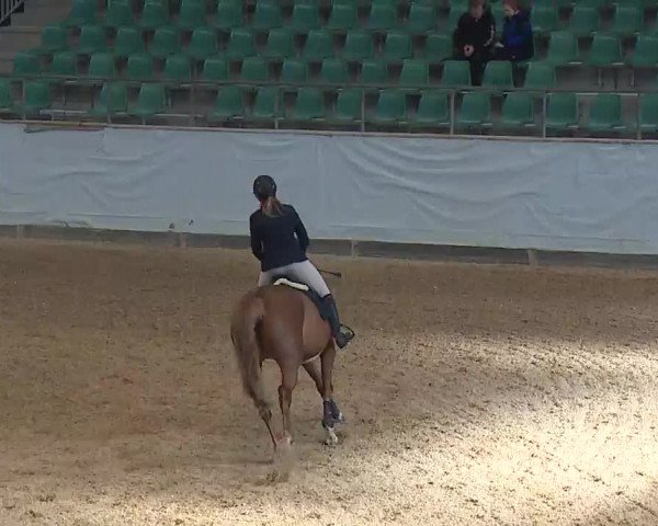 Reitturnier Kreuth 2023