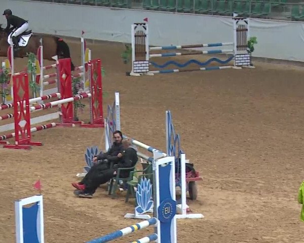 Reitturnier Kreuth 2023