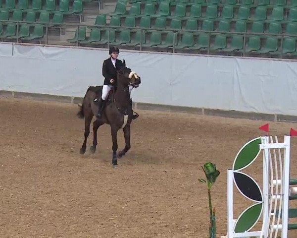 Reitturnier Kreuth 2023