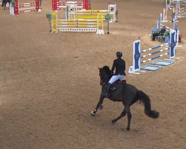 Reitturnier Kreuth 2023