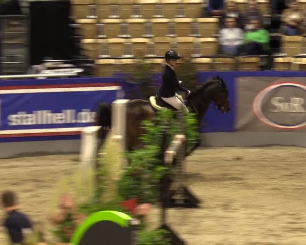 FEI Reitturnier Neumünster (GER) 2021