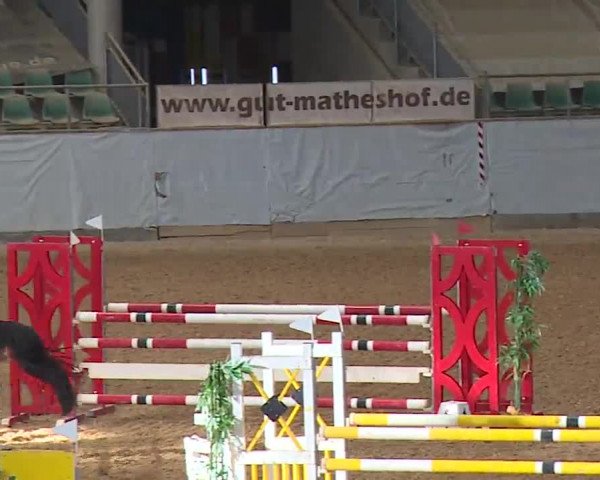 Reitturnier Kreuth 2023