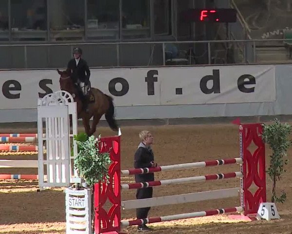 Reitturnier Kreuth 2023