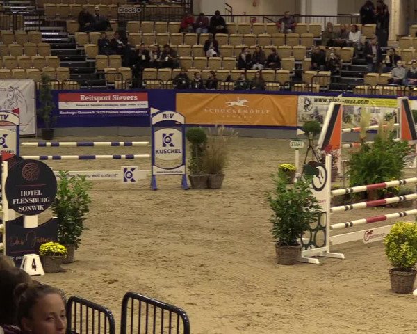 FEI Reitturnier Neumünster (GER) 2021