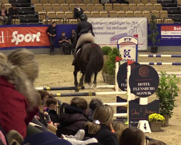 FEI Reitturnier Neumünster (GER) 2021