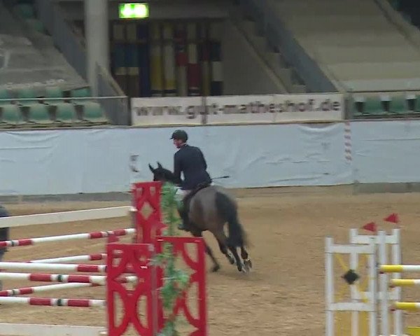 Reitturnier Kreuth 2023